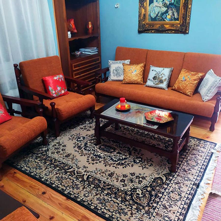Meteora Mansion - Traditional Apt 3Bd - Rocks View Kalampáka Luaran gambar